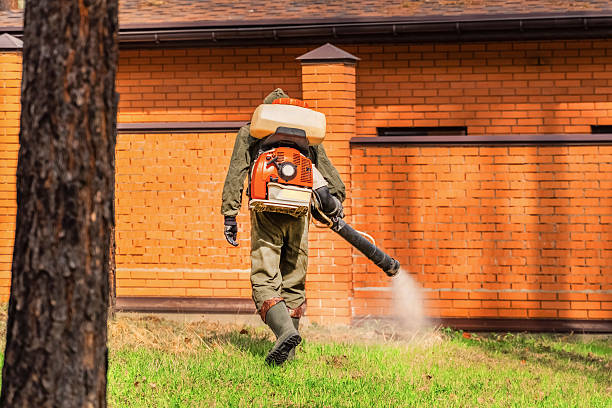 Trusted Mosquito Control service in Cochranton, PA - Nex Pest Control